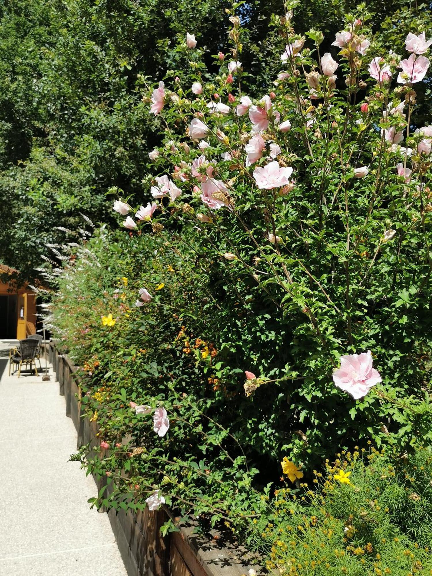 Les Cabanes De Fontfroide Saint-Antoine  Ngoại thất bức ảnh