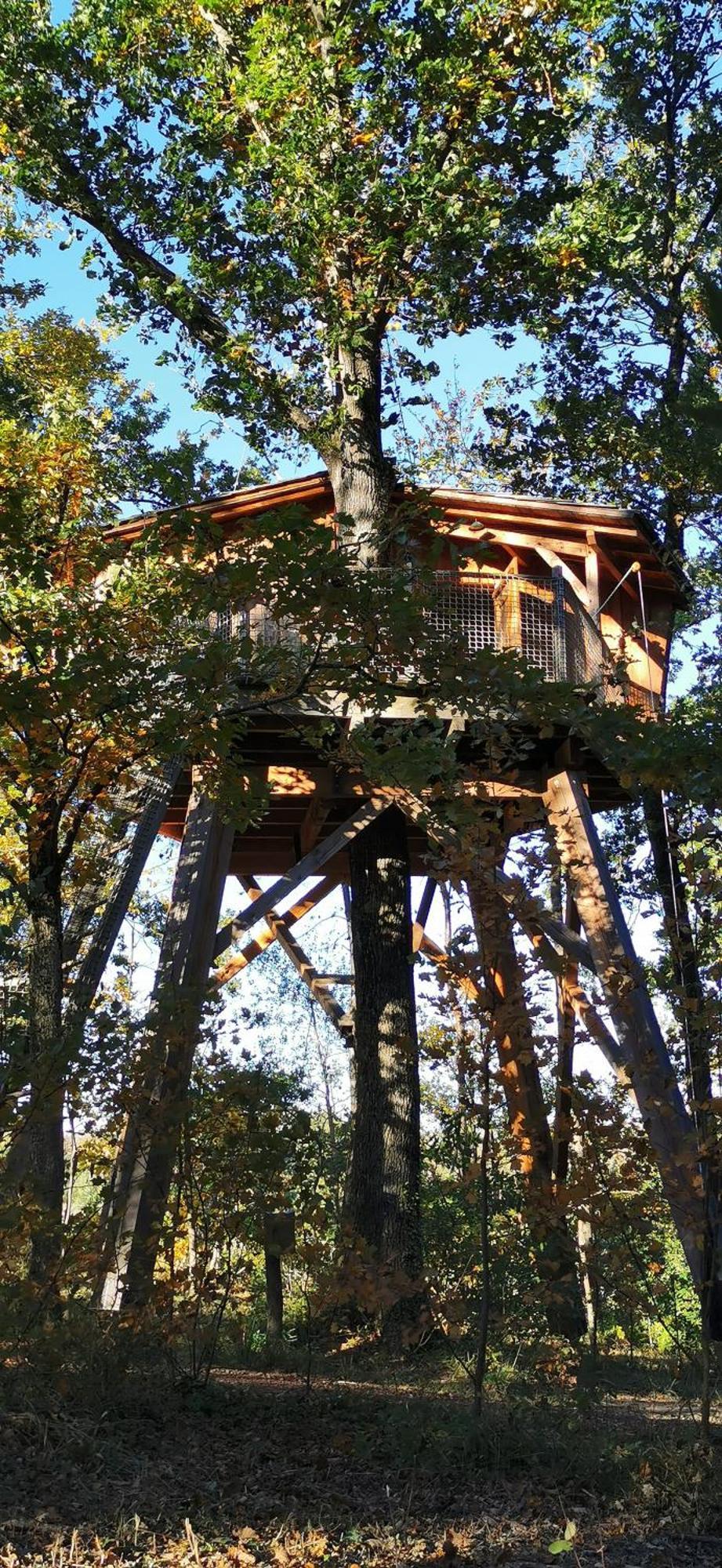 Les Cabanes De Fontfroide Saint-Antoine  Ngoại thất bức ảnh